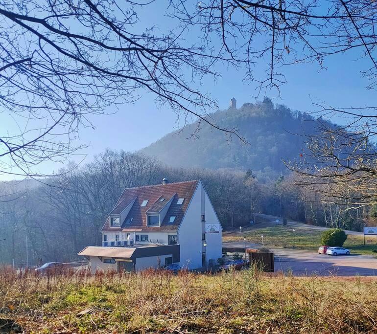 Au Pied Du Chateau Оршвилер Екстериор снимка